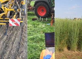 Titelbild der Juni-Ausgabe der lop