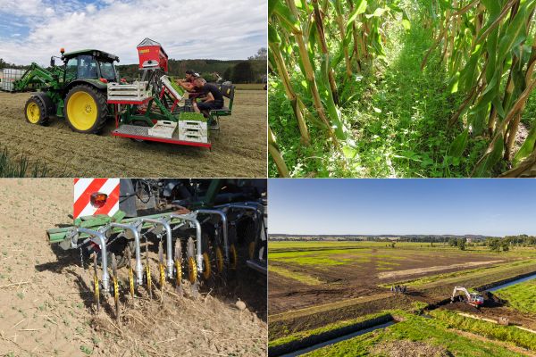 Collage Bilder Lumbrico