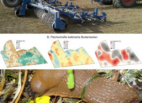 Collage mit drei Bilder zur Ilustration der August-Ausgabe der lop