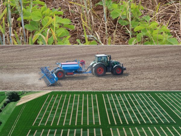 Collage Soja in Mulchsaat, Aussaat, Versuchsfeld von oben