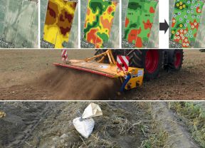 Collage der LOP-Themen Juni 2020