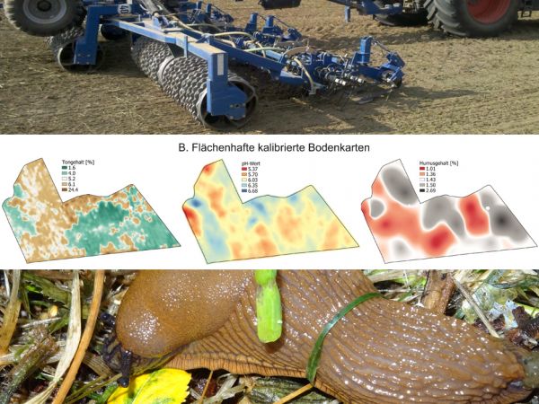 Collage mit drei Bilder zur Ilustration der August-Ausgabe der lop