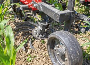 Güllehackgerät auf dem Acker