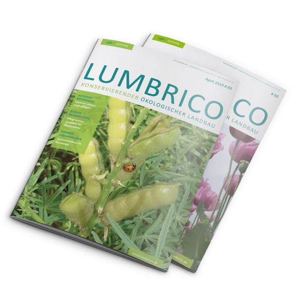 LUMBRICO Ausgabe 3