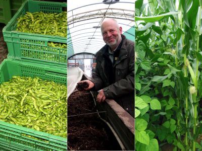 Collage der Inhalte Lumbrico-Ausgabe 05/2020, Soja, Grand, Mais im Gemenge