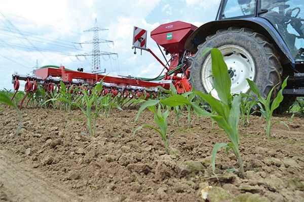 Greenseeder von Güttler