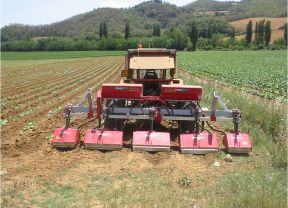 Reihenfräse von Breviglieri