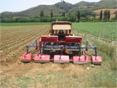 Reihenfräse von Breviglieri