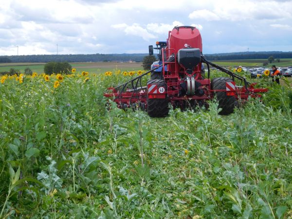 Direktsaatmaschine Novag auf Acker