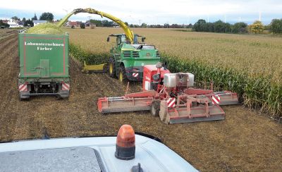 Schlegelmulcher von Sauerburger bei der Maisernte