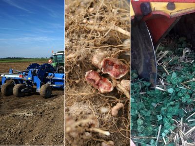 Collage aus Bildern der lop Ausgabe Dezember