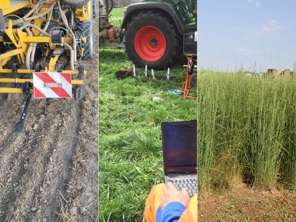 Titelbild der Juni-Ausgabe der lop