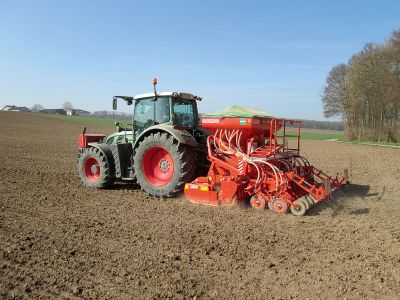 Maschio Alitalia Perfecta