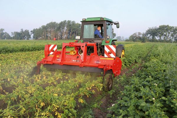 Krautschlegler von Sauerbruger