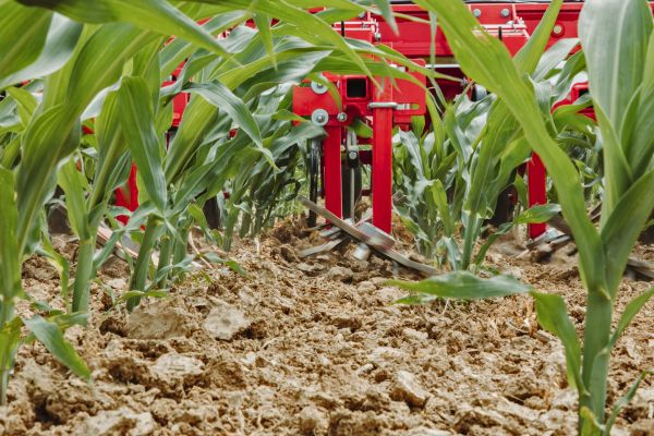 Hackgerät im Biomais