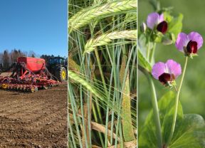 Collage Themen lop Mai 2020