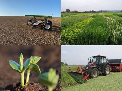 Säroboter, Zwischenfrüchte, Lupine, Roller Crimper