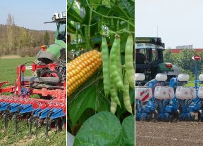 Collage für lop-Inhalte April mit Sämaschine, Mais und Stangenbohne sowie Striegel