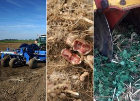 Collage aus Bildern der lop Ausgabe Dezember