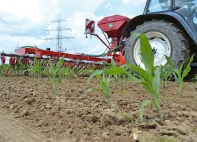 Greenseeder von Güttler