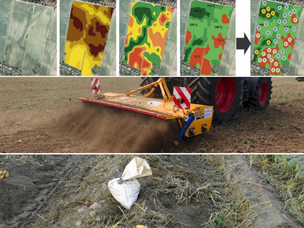 Collage der LOP-Themen Juni 2020