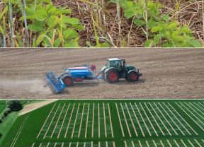 Collage Soja in Mulchsaat, Aussaat, Versuchsfeld von oben