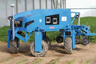 Hackroboter Anatis 1