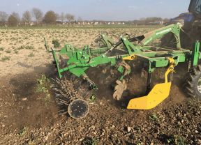 Striegelwalze Kerner Corona