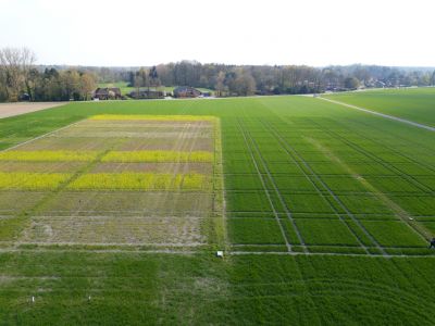 Luftbild Versuchsstandort Wehen