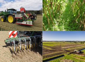 Collage Bilder Lumbrico