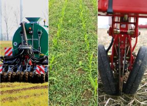 Volmer Culex Getreide in Mais Saatschar