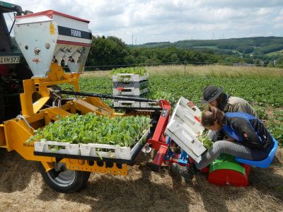 Baertschi herbizidfrei Gemüseanbau