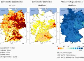 Dürremonitor UFZ Deutschland Januar 2020