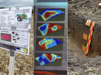 Collage von GKB-Feldtag in Rotenkamp