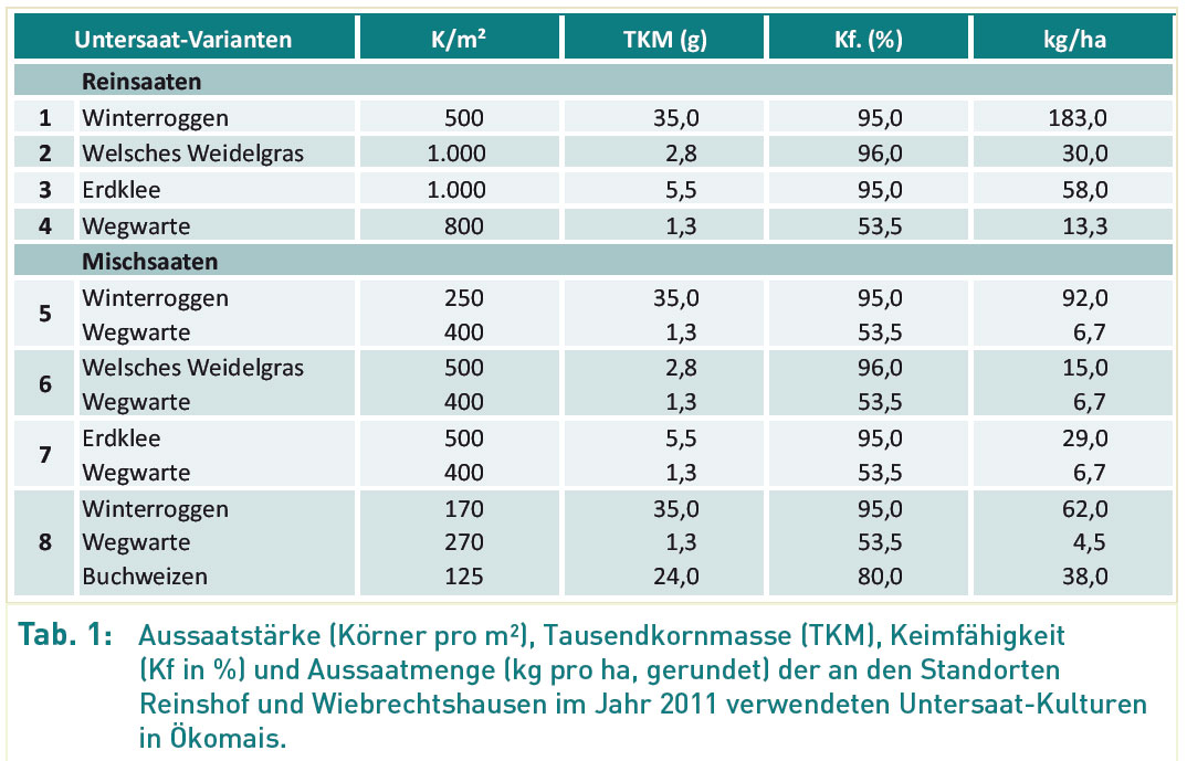 Untersaaten mit zusätzlichem Nutzen Tabelle 1: Tabelle 1: Aussaatstärke (Körner pro m²), Tausendkornmasse (TKM), Keimfähigkeit (Kf in %) und Aussaatmenge (kg pro ha, gerundet) der an den Standorten Reinshof und Wiebrechtshausen im Jahr 2011 verwendeten Untersaat-Kulturen in Ökomais.
