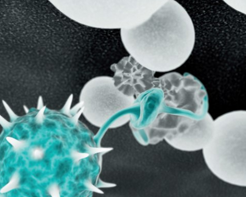 Sporeninfektion in Pflanzenzelle